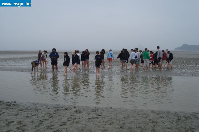 voyage Normandie avril 2009 2AF 183.jpg